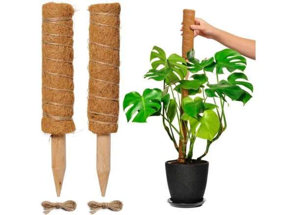 Floraworld Kokosplantenstok 150cm - 4,5cm