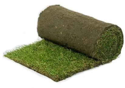 Grasmatten / graszoden 1 m²