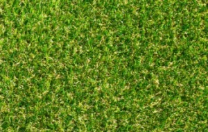 Kunstgras Green Fusion Bright