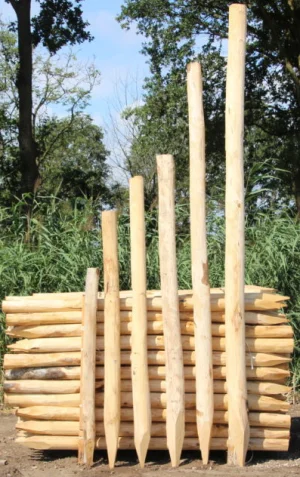 Kastanje paal Ø 8/10 cm