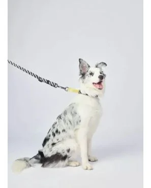 M-PETS WILD Safari Halsband