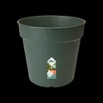 green basics kweekpot 17cm blad groen
