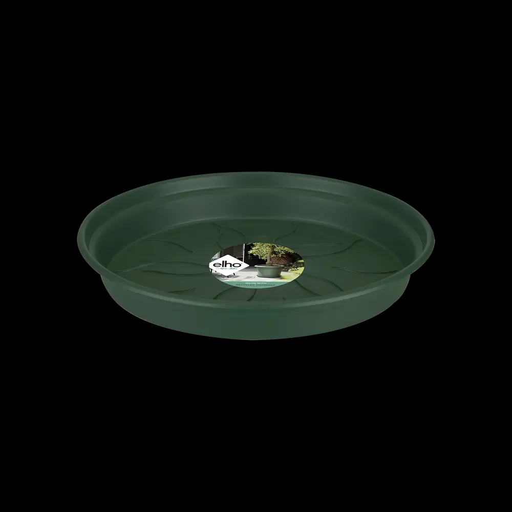 green basics schotel 22cm blad groen