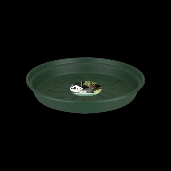 green basics schotel 22cm blad groen