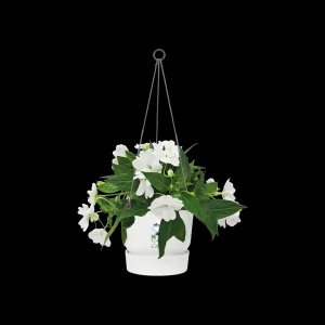 greenville hanging basket 24cm wit