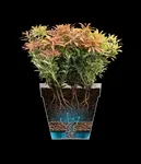 loft urban rond 20cm pistachegroen