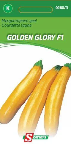 Courgette Golden Glory F1