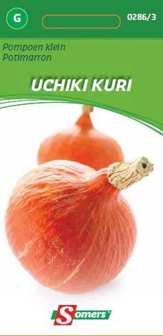 Pompoen Uchiki Kuri (Klein)