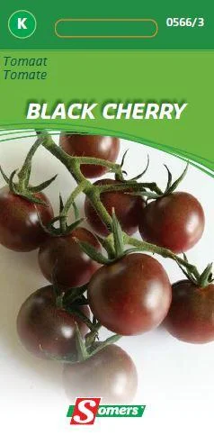 Tomaat Black Cherry