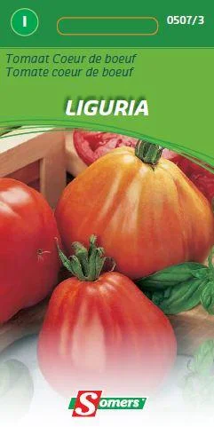 Tomaat Liguria (Coeur De Boeuf)