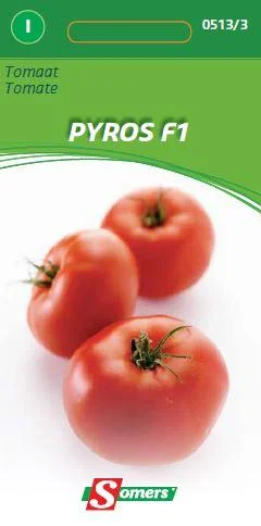 Tomaat Pyros F1