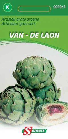 Artisjok Van Laon (Groot Groen)