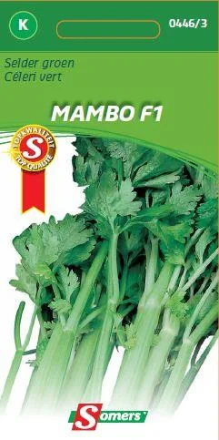 Selder  Mambo F1 (Groen)