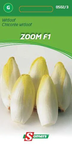 Witloof Zoom F1