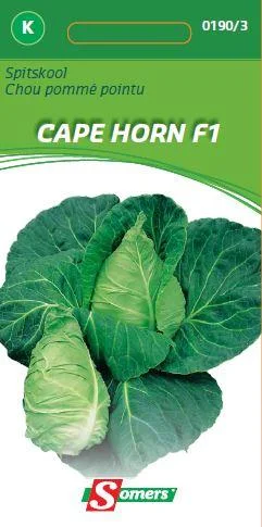Spitskool Cape Horn F1