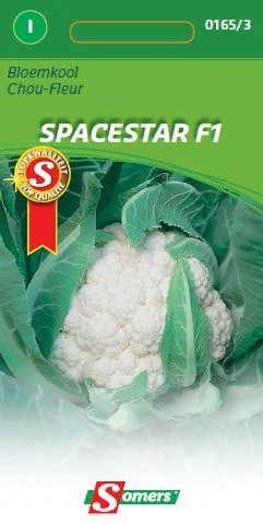 Bloemkool Spacestar F1