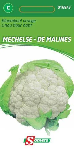 Bloemkool Mechelse Vroege
