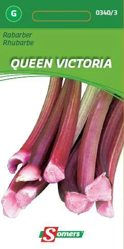 Rabarber Queen Victoria