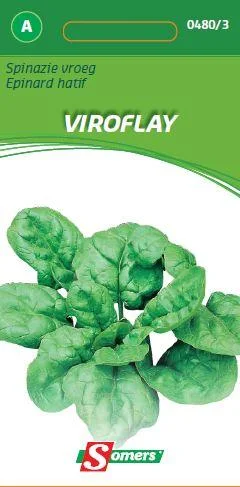 Spinazie Reuzen Van Viroflay 