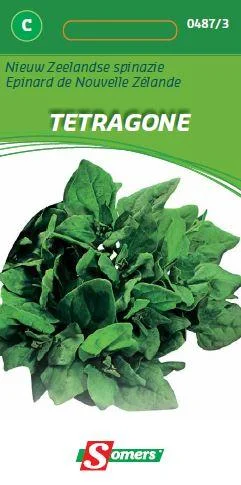 Spinazie Tetragone Nieuw Zeelands