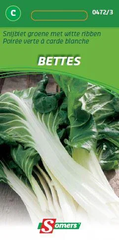 Snijbiet Groen Met Witte Ribben