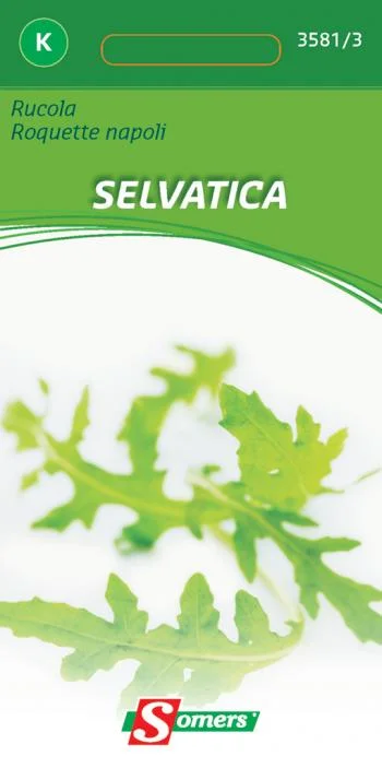 Rucola Selvatica