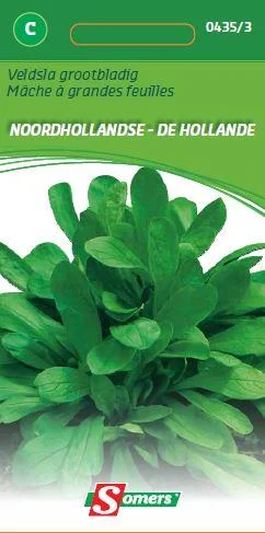 Veldsla Hollandse (Grootbladige)