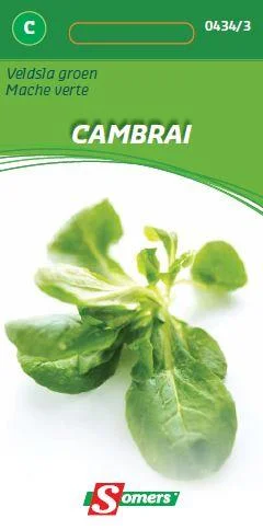 Veldsla Groene Van Cambrai