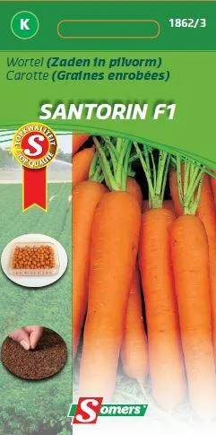 Wortel Santorini F1  Pil 