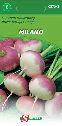 Tuinraap  Milaan (Blauwkoppig)