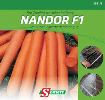 5M Zaailint  Wortel Santorin F1 DV