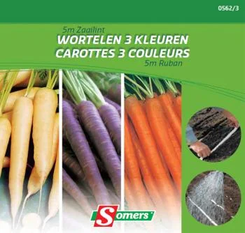 5M Zaailint Wortelen 3 Aparte Kleuren DV