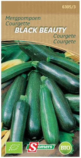 BE-BIO-02 Courgette Black Beauty