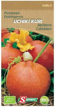 BE-BIO-02 Potimarron Uchiki Kuri