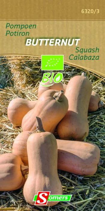 BE-BIO-02 Pompoen Butternut