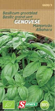 BE-BIO-02 Basilicum Genovese (Grootbladig) 