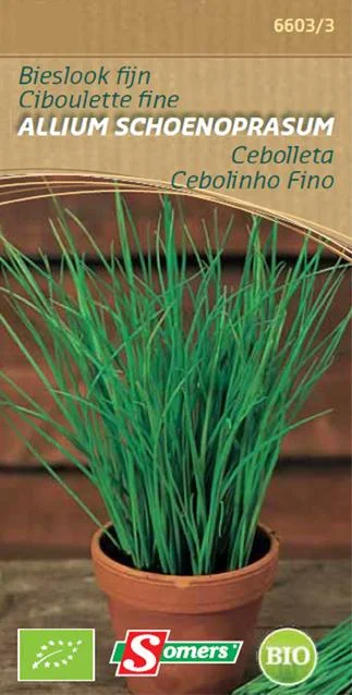BE-BIO-02 Bieslook Fijn