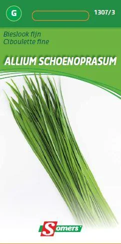Bieslook Fijne(Schoenoprasum)