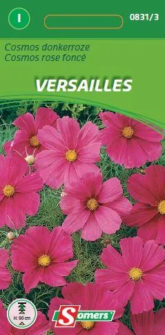 Cosmos Versailles donkerroze