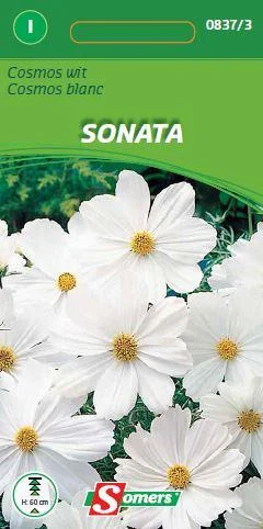 Cosmos Bipinnatus Sonata (Wit) 
