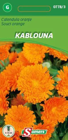 Calendula Kablouna Oranje Zonder Hart 