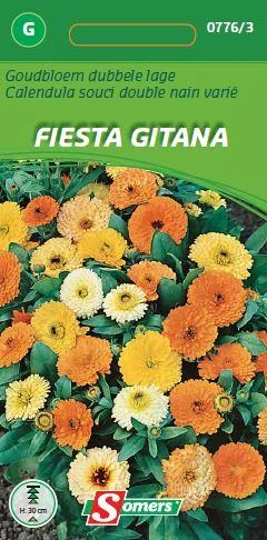 Calendula Fiesta Gitana (Gemengd) 