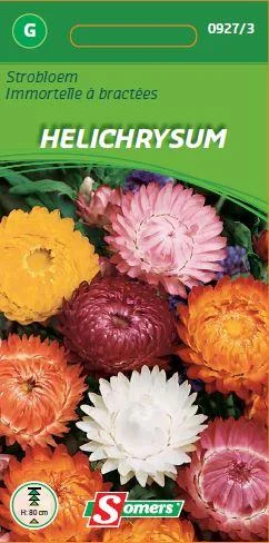 Helichrysum Bracteum (Gemengd)