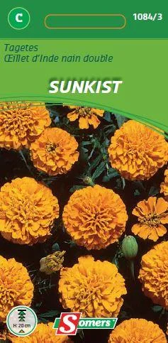 Tagetes  Patula Oranje