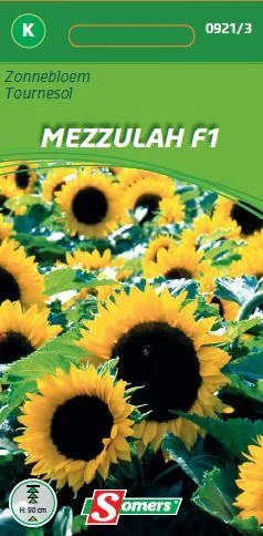 Helianthus Mezzulah F1 