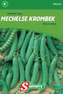 Erwt Mechelse Krombek