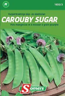 Erwt Carouby (Purperbloemig)