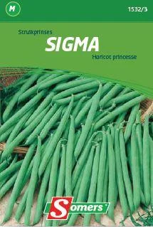 Struikboon Jaguar (Zonder Draad)