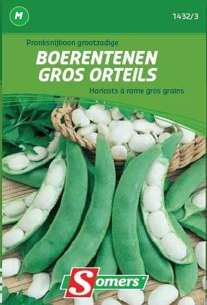 Pronksnijboon Boereteen (Super Groot)