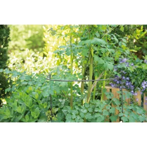 Sogo Plantensteun halfrond 2st 26x76